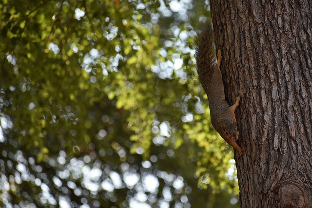 A联赛整体 A联赛整体