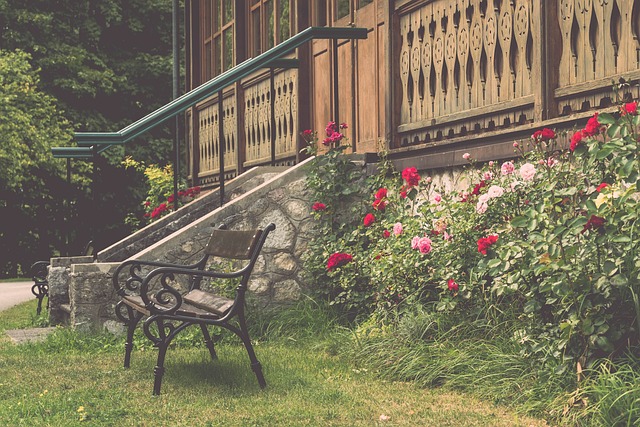 公司的创始 公司的创始