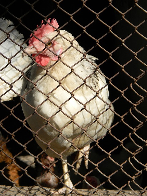 不仅是对球 不仅是对球