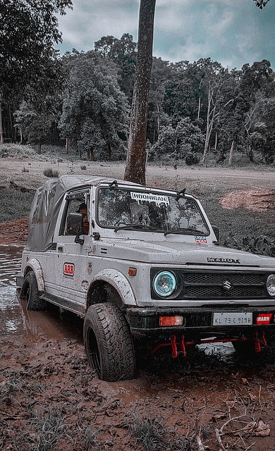 内联赛也表 内联赛也表