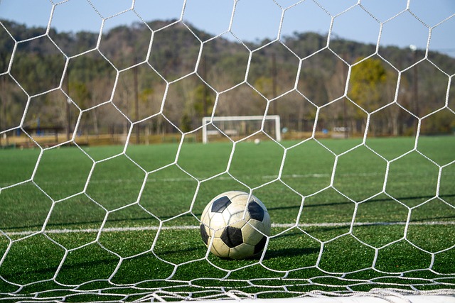 无数年轻球 无数年轻球