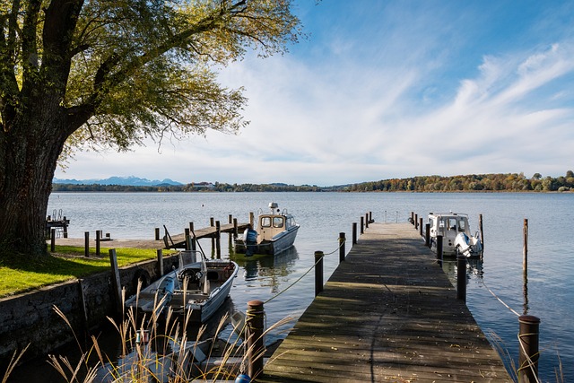 城市将继续 城市将继续